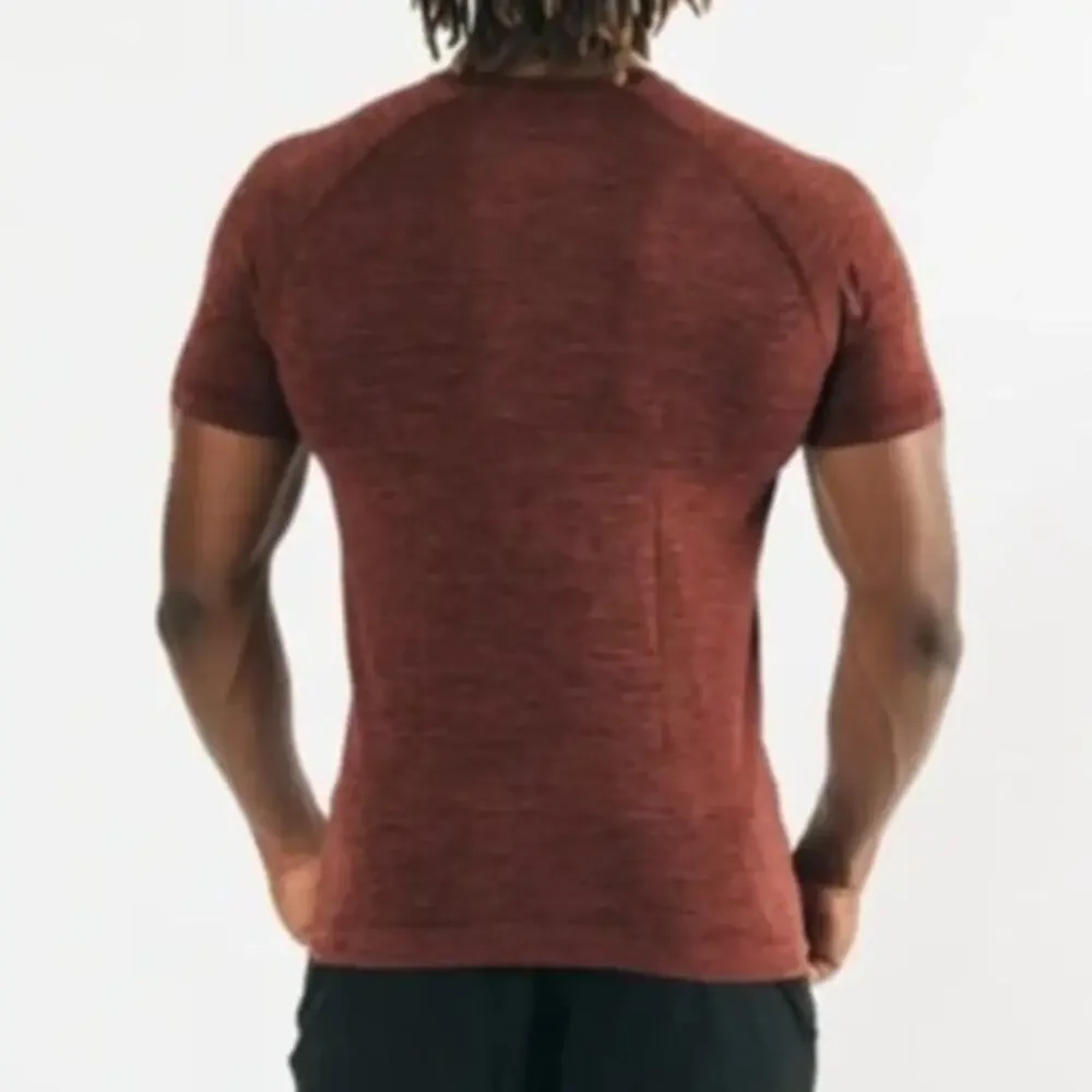Alphalete Hero Seamless Tee Short Sleeve in Sparrow Crew Neck Shirt